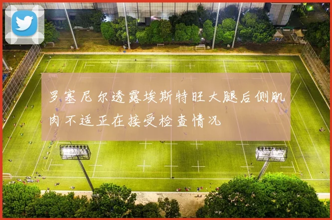 罗塞尼尔透露埃斯特旺大腿后侧肌肉不适正在接受检查情况
