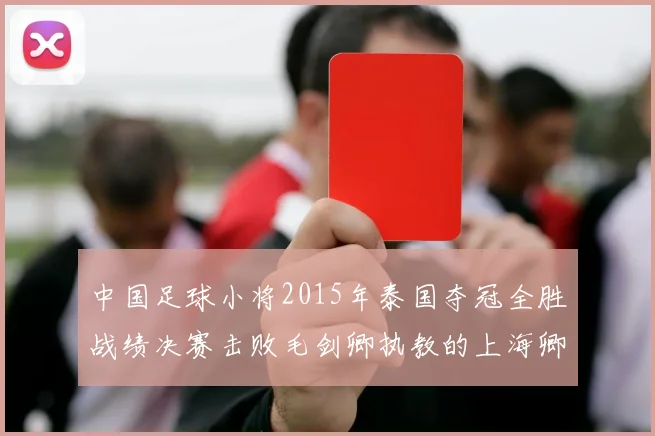 中国足球小将2015年泰国夺冠全胜战绩决赛击败毛剑卿执教的上海卿训